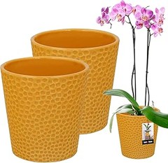 Mejores alternativas a las macetas de cerámica para orquídeas