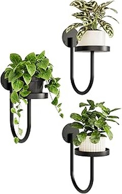 Alternativas creativas a los soportes para plantas de pared