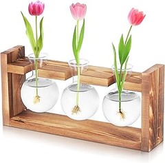 Descubre alternativas a las macetas de interior para cultivar esquejes
