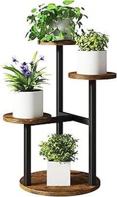 Descubre Alternativas a los Soportes para Plantas en Macetas Pequeñas