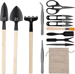 Alternativas prácticas a los kits de trasplante de bonsáis