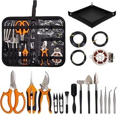 ¿Por qué deberías invertir en un kit de trasplante de bonsáis?