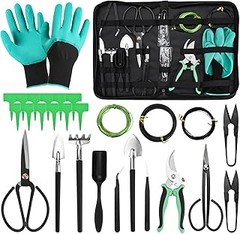 Guía para elegir el mejor kit para trasplante de suculentas