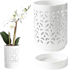 Guía para elegir la maceta de cerámica perfecta para tus orquídeas
