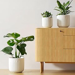 Guía para elegir la maceta de cerámica mate ideal