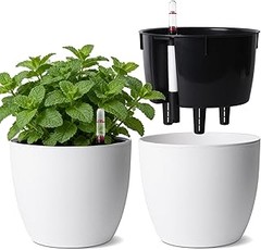 Guía para elegir la maceta con autorriego ideal para tu oficina