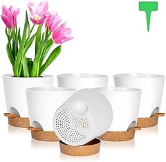 Guía para Elegir Plantas Ideales para Macetas de Oficina
