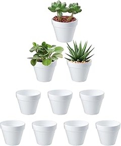 Guía para elegir la maceta de cerámica adecuada para tus plantas