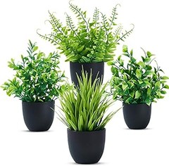 Guía para elegir la maceta adecuada para plantas en el baño