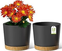 ** Guía para elegir la maceta grande con drenaje ideal para tus plantas
