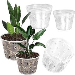 Cómo Prevenir el Exceso de Riego en Macetas de Interior para Orquídeas