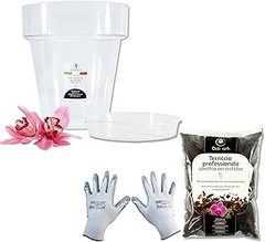 Instrucciones para usar un kit de trasplante de orquídeas
