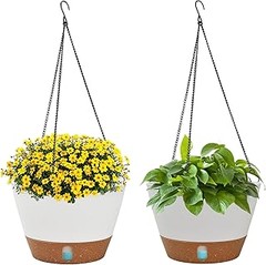 Maceteros Colgantes vs. Maceteros de Pie: ¿Cuál Elegir para Tu Terraza?