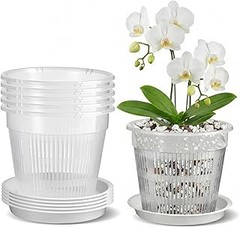 ** Kits para trasplante de orquídeas o herramientas individuales: ¿qué elegir?