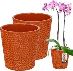 Macetas de Cerámica o Plástico para Orquídeas: ¿Cuál Elegir?