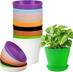 Macetas pequeñas de colores y grandes: ¿Cuál elegir para tu hogar?