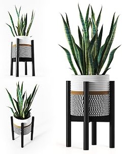 ¿Madera o Metal? Comparativa de Soportes para Plantas de Bambú