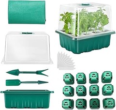 DIY: Cómo hacer un kit para trasplante de semilleros en casa