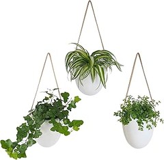 Cómo cuidar las plantas en maceteros colgantes: riego y fertilización
