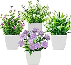 Cómo cuidar plantas en macetas dentro del baño