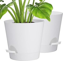 Mejores lugares para comprar macetas de interior con drenaje a buen precio