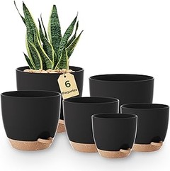Las mejores tiendas para comprar macetas de plástico decorativas
