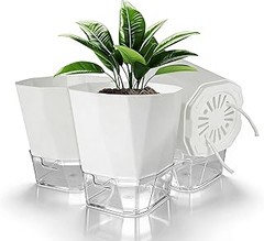 ¿Son efectivas las macetas con autorriego para tus plantas?