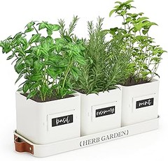 ¿Qué tamaño de maceta es ideal para cultivar hierbas aromáticas?