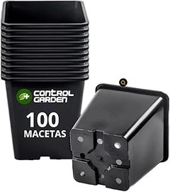 Problemas frecuentes al utilizar macetas de interior para esquejes