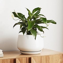 Cómo combinar macetas de cerámica esmaltadas en tu decoración