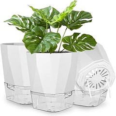 Cómo Elegir las Mejores Macetas con Autorriego para Plantas Pequeñas