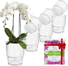 Cómo Fertilizar Orquídeas en Macetas de Interior: Guía Completa