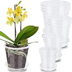 Cómo elegir la mejor maceta de interior para tus orquídeas