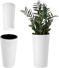 Cómo elegir la maceta ideal para tu árbol pequeño