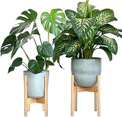 Descubre Diseños Creativos de Macetas de Madera con Patas