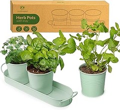 ¿Qué son las jardineras para hierbas aromáticas y por qué son importantes?