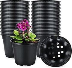 Plantas ideales para cultivar en macetas de plástico