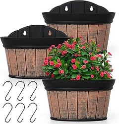 ** ¿Qué plantas son ideales para macetas en el porche exterior?