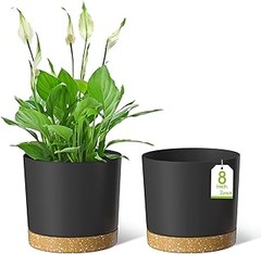 Mejores Plantas para Usar con Macetas con Autorriego de Plástico