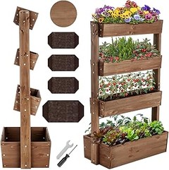¿Son adecuadas las macetas de madera para todas las plantas?