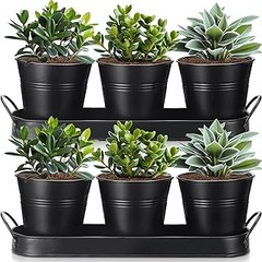 Macetas de metal con drenaje ideales para diferentes plantas