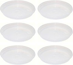 Cómo mantener macetas con platos transparentes en óptimas condiciones