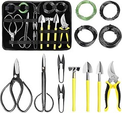 Los mejores kits de trasplante para principiantes en bonsáis