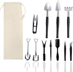 Comparativa de los mejores kits para trasplante de cactus