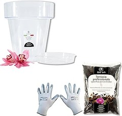 Comparativa de los mejores kits para trasplante de orquídeas