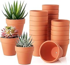 Las mejores macetas de cerámica pequeñas para tu jardín exterior