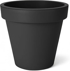 Descubre las mejores macetas grandes anchas para tus plantas de interior