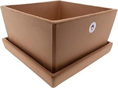Macetas de interior para bonsáis