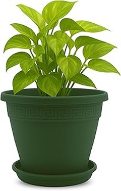 Comparativa de las mejores marcas de macetas de plástico para jardín