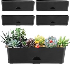 Las mejores plantas para cultivar en macetas de interior en alféizar